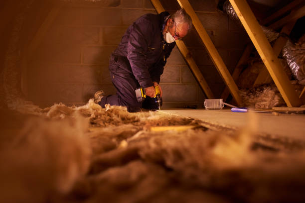 Types of Insulation We Offer in Bodfish, CA